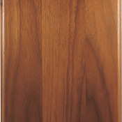 GWST46 - 4" x 6" Step-Edge Genuine Walnut Plaque