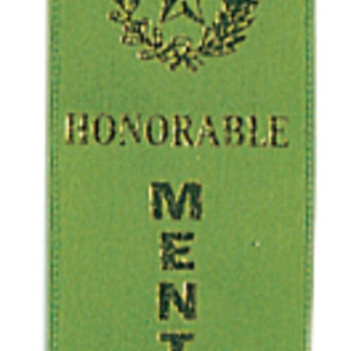 JDS RIB21 - Honorable Mention Green Carded Ribbon with String RIB21 RIB21 - Honorable Mention Green Carded Ribbon with String Thumbnail