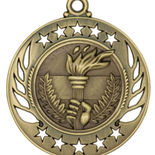 JDS GM110G - 2 1/4" Antique Gold Torch Galaxy Medal GM110G GM110G - 2 1/4" Antique Gold Torch Galaxy Medal Thumbnail