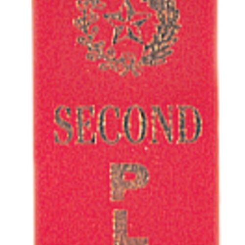 JDS RIB02 - Red 2nd Place Carded Ribbon with String RIB02 RIB02 - Red 2nd Place Carded Ribbon with String Thumbnail