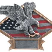 DPS14   6" X 4-1/2" Diamond Plate Resin Large Eagle Trophy
