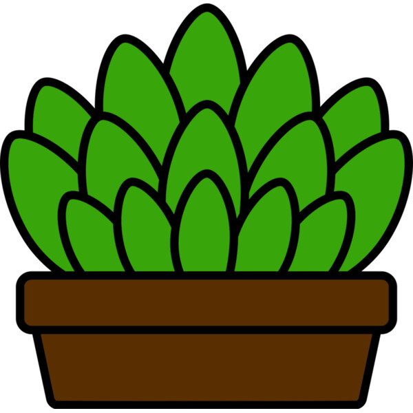 Succulent Plant Thumbnail