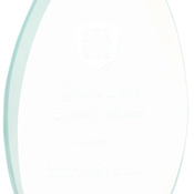 JGS41 - 7" Oval Jade Glass Award