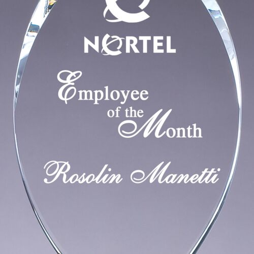 CRY164D - 10 1/4" Crystal Oval on Clear Base (Damaged) Thumbnail