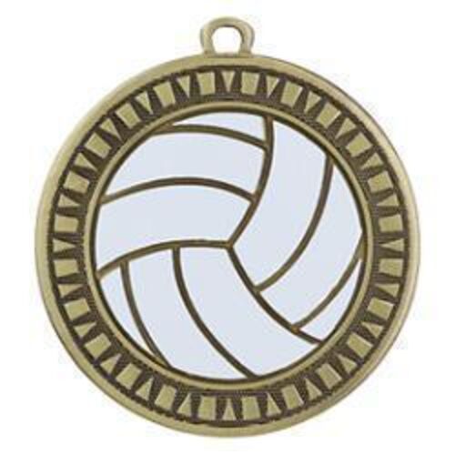 Velocity Medal | Volleyball Thumbnail