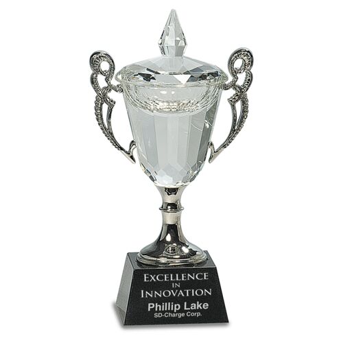 JDS CRY052S - 8" Crystal Cup with Silver Handles and Stem CRY052S CRY052S - 8" Crystal Cup with Silver Handles and Stem Thumbnail