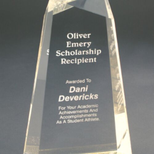 JDS AWG9GD - 9" Gold Facet Wedge Acrylic AWG9GD AWG9GD - 9" Gold Facet Wedge Acrylic Thumbnail