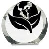 [CRY169] 4.5" Round Crystal Clock Thumbnail