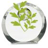[CRY169] 4.5" Round Crystal Clock Thumbnail